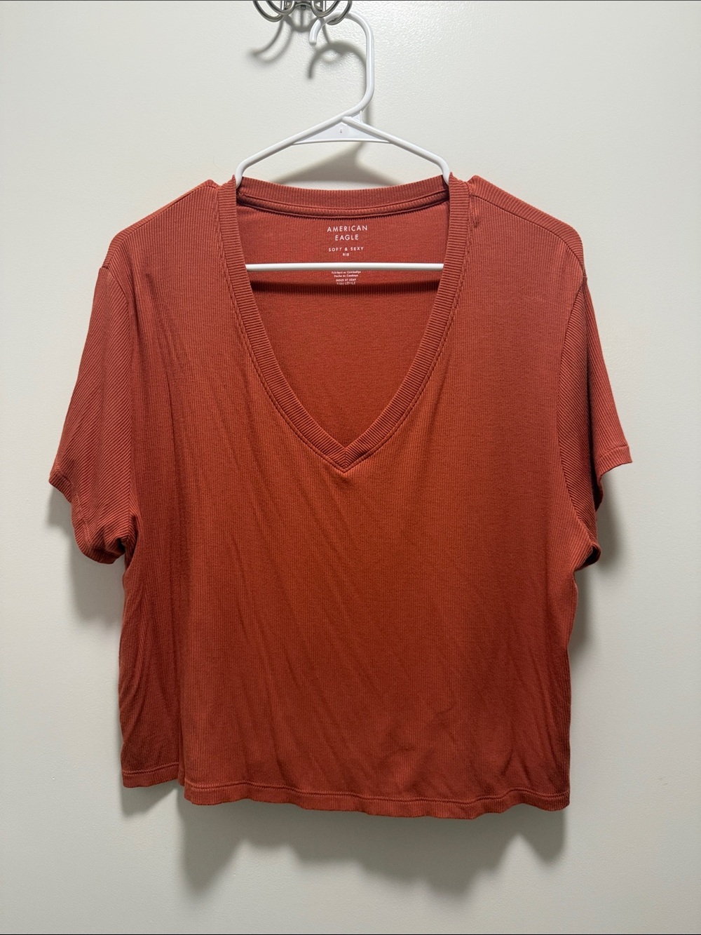 American Eagle Outfitters Short Sleeve V-Neck Tee in Rust Orange